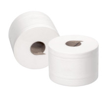 Бумага туалетная в рулонах 2-слойная 12 рулонов по 100 метров