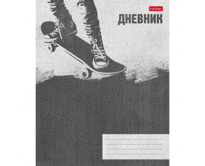 Дневник школьный Hatber с 1-11 классы Skate style