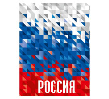 Тетрадь общая Academy Style Россия А4 96 листов в клетку на спирали (обложка в ассортименте)