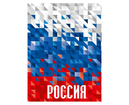 Тетрадь общая Academy Style Россия А4 96 листов в клетку на спирали (обложка в ассортименте)